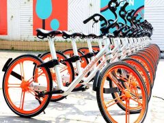 镁合金板材锯切